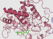 Cellulase